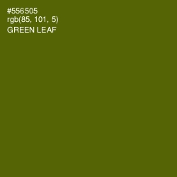 #556505 - Green Leaf Color Image